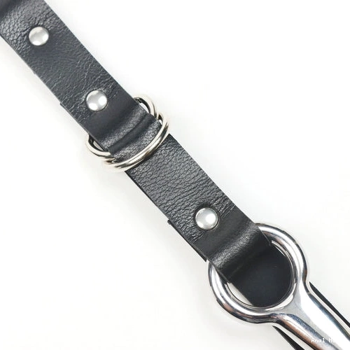5853 Leash Anal EverydayUse Hook with Kinky Collar and 0806
